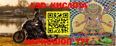 каннабис Новозыбков