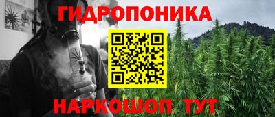 спайс Новодвинск