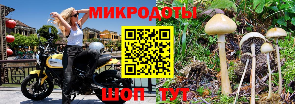 Галлюциногенные грибы Psilocybe  Вход с VPN  Спасск-Дальний 